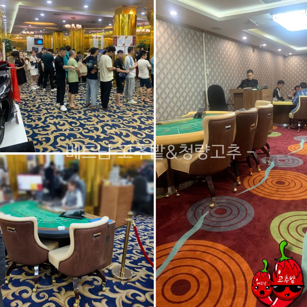 c2f4e47577cc9c888ca0edc5c1064dea_1765093911_2316.jpg 하노이 박닌 피닉스 카지노 시설 안내