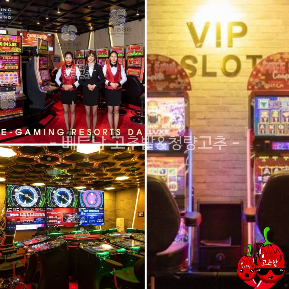 c2f4e47577cc9c888ca0edc5c1064dea_1765108999_1501.jpg 다낭 원오페라, 클럽88, 클럽99 카지노 시설 안내