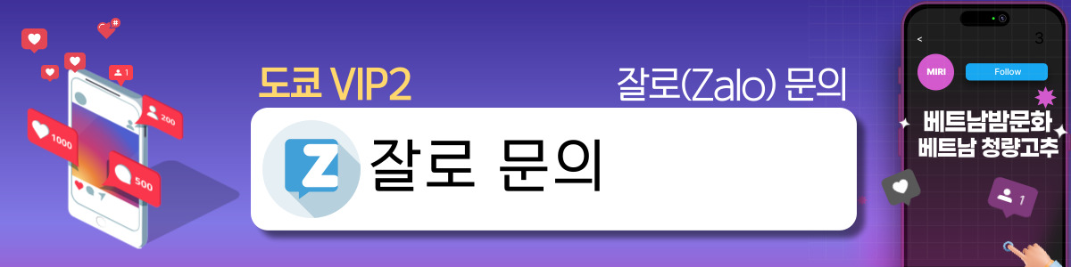 하노이 도쿄 VIP2 주의사항