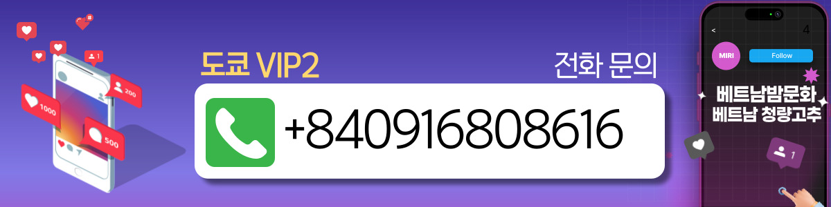 하노이 도쿄 VIP2 옵션 안내