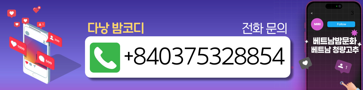 다낭 밤코디 황제투어 에스코트 구글위치