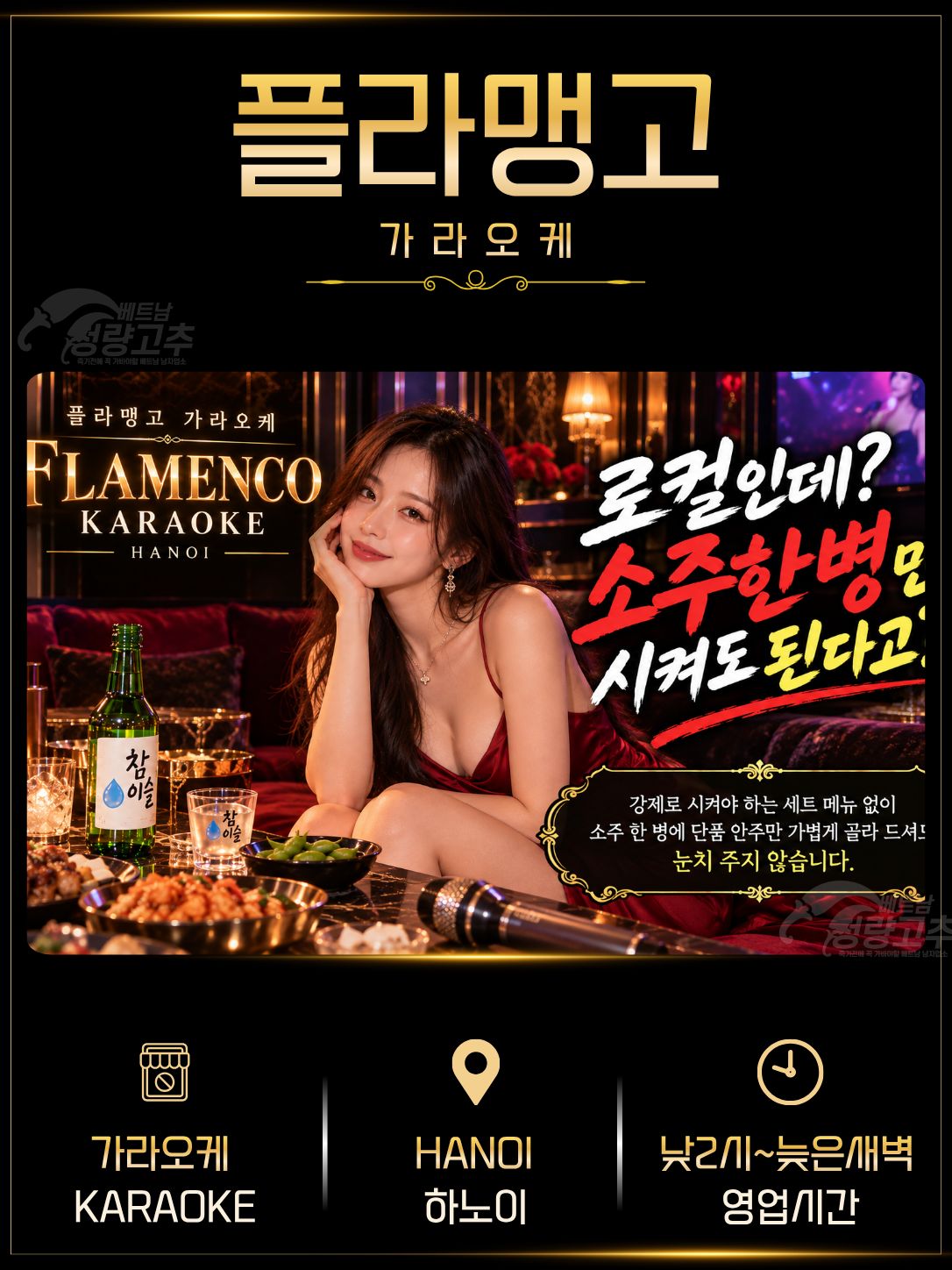 하노이 플라맹고(FLAMENCO) 가라오케 매장 대표정보 안내 사진